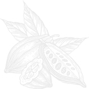 Cacao Hunters logo