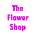 Flower Shop by Nina logo