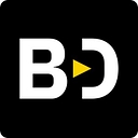 Brooklyn Data logo
