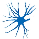 Neural Shifts logo
