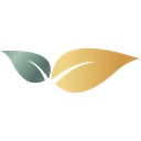 Elite Smiles logo