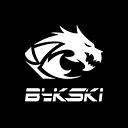 Bykski logo