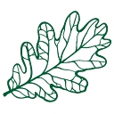 The Southern Agency logo