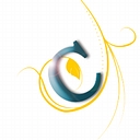 Credofy logo