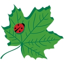 Titan Tree Care logo
