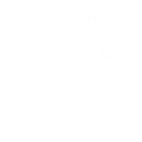 WTF Media Studios logo