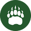 northwoodsguides.com favicon