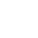 Commercial Spaceflight Federation logo