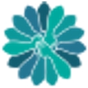 Dane County Department of Human Services logo