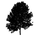 Justin K. Hughes logo