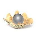 Black Pearl Bookkeeping logo