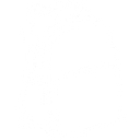 VSNOON logo