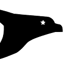 BorderHawk logo