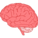 Neuroscientifically Challenged logo