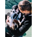 Playtime Doggy Daycare logo