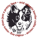 Mid-Atlantic Border Collie Rescue logo