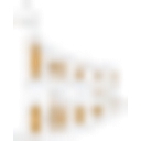 Seo Digital Solutions logo