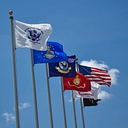 Warrior Allegiance logo