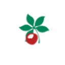Buckeye Fitness Club logo