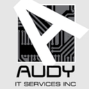 Audy IT Services logo