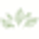 Tennessee Urban Farm logo
