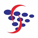 Systems Solutions logo