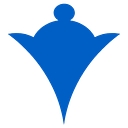 Chess Health Solutions logo