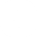Spark Intelligence logo
