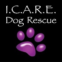 I.C.A.R.E. Dog Rescue logo