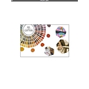Oil & Cotton logo