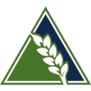 BSG HandCraft logo