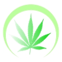 Future Green Hydro logo