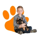 South Bay K9 logo