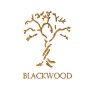 Blackwood Studios logo