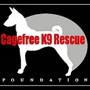 CageFree K9 Camp logo