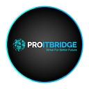 ProITBridge logo