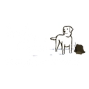 Rocky Creek Veterinary Hospital & Pet Resort logo