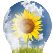 Swoboda Marketing logo