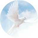 Final Resting Guide NJ logo