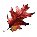 ForestryUSA logo