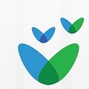 Valued Voice logo
