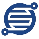 Data Chasers logo