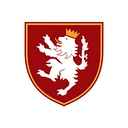 Somerset Wealth Strategies logo