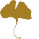 Maria Gossard Designs logo
