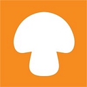 us.foursigmatic.com favicon