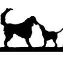 Pittsfield Veterinary Hospital logo