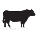 Bourbon Steak logo