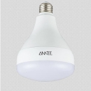 Ankee logo