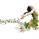 Big Shakti logo
