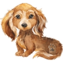 Lovebug Doxies logo